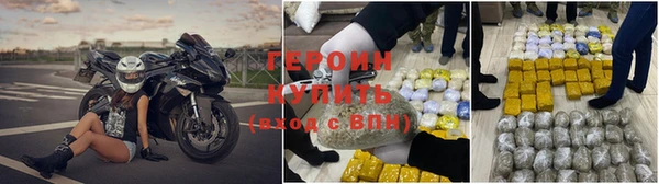 сатива Беслан