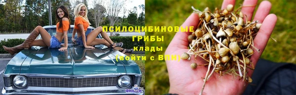 PSILOCYBIN Абинск