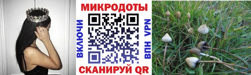 Псилоцибиновые грибы Magic Shrooms маркетплейс какой сайт Балаково