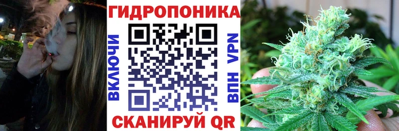 Каннабис планчик  Балаково 